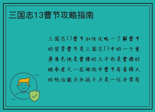三国志13曹节攻略指南