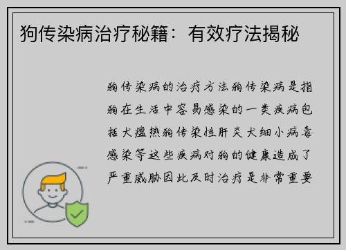 狗传染病治疗秘籍：有效疗法揭秘